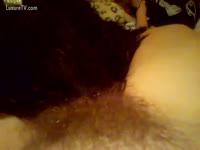 Bestiality XXX Film - Ginger bush pubic hair